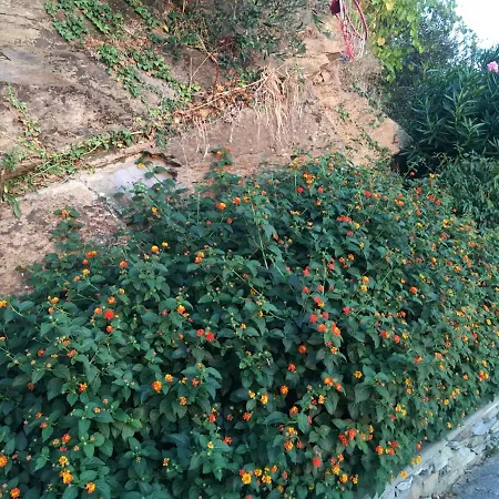 Roseto Con Vista Villa